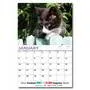 Custom Promotional Calendars