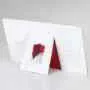 Discreet Nu-Leth-R Desk Calendar WW-401_back
