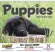 Puppies Promotional Calendar  – Main Image – 2027