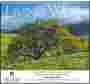 Living Word - Nondenominational Promotional Calendar  – Main Image – 2027