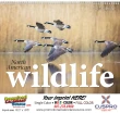 North American Wildlife Promotional Calendar  – Main Image – 2027