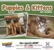 Puppies & Kittens Wall Pocket Promo Calendar, Size 8x13 – Main Image – 2027