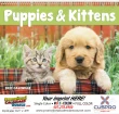 2027 Puppies & Kittens Promotional Wall Calendar – Cute Pet Photography, Custom Printed, Spiral Binding – Main Image – 2027