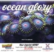 Ocean Glory Promotional Calendar – Stunning Seascapes & Marine Life, Custom Printed, Spiral Binding – Main Image – 2027