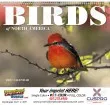 Birds of North America Calendar Spiral – Main Image – 2027
