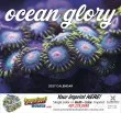 Ocean Glory Promotional Calendar - Stapled – Main Image – 2027