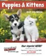 Puppies & Kittens Mini Promotional Calendar – Main Image – 2027