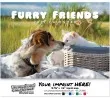 Cats & Dogs Wall Calendar  - Stapled – Main Image – 2027