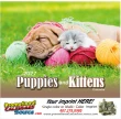 Puppies & Kittens Promotional Calendar  – Main Image – 2027