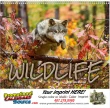Wildlife Wall Calendar  Spiral – Main Image – 2027