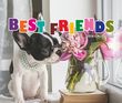 Best Friends Puppies - Animal Calendar 2027, Spiral, 12.5x21 – Main Image – 2027