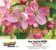 Floral Beauty Wall Appoitment Calendar 2027, Stapled, 11.5x18 – Main Image – 2027