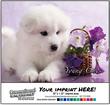 Young Ones - Puppies, Kittens & Kids Calendar - Spanish/English Bilingual – Main Image – 2027