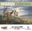 Wildlife Collection Art Calendar Stapled – Main Image – 2027