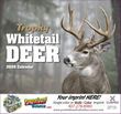 Whitetail Deer Wall Calendar  Stapled – Main Image – 2027