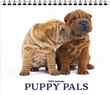 Puppy Pals Promotional Calendar, 13.5x24 – Main Image – 2027