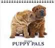 Puppy Pals Promotional Calendar, 13.5x24 – Main Image – 2027