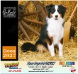 Dogs Promo Calendar  – Main Image – 2027