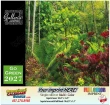 Go Green Environmental Calendar  – Main Image – 2027