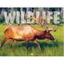 Wildlife Promotional Mini Calendar – Main Image – 2027