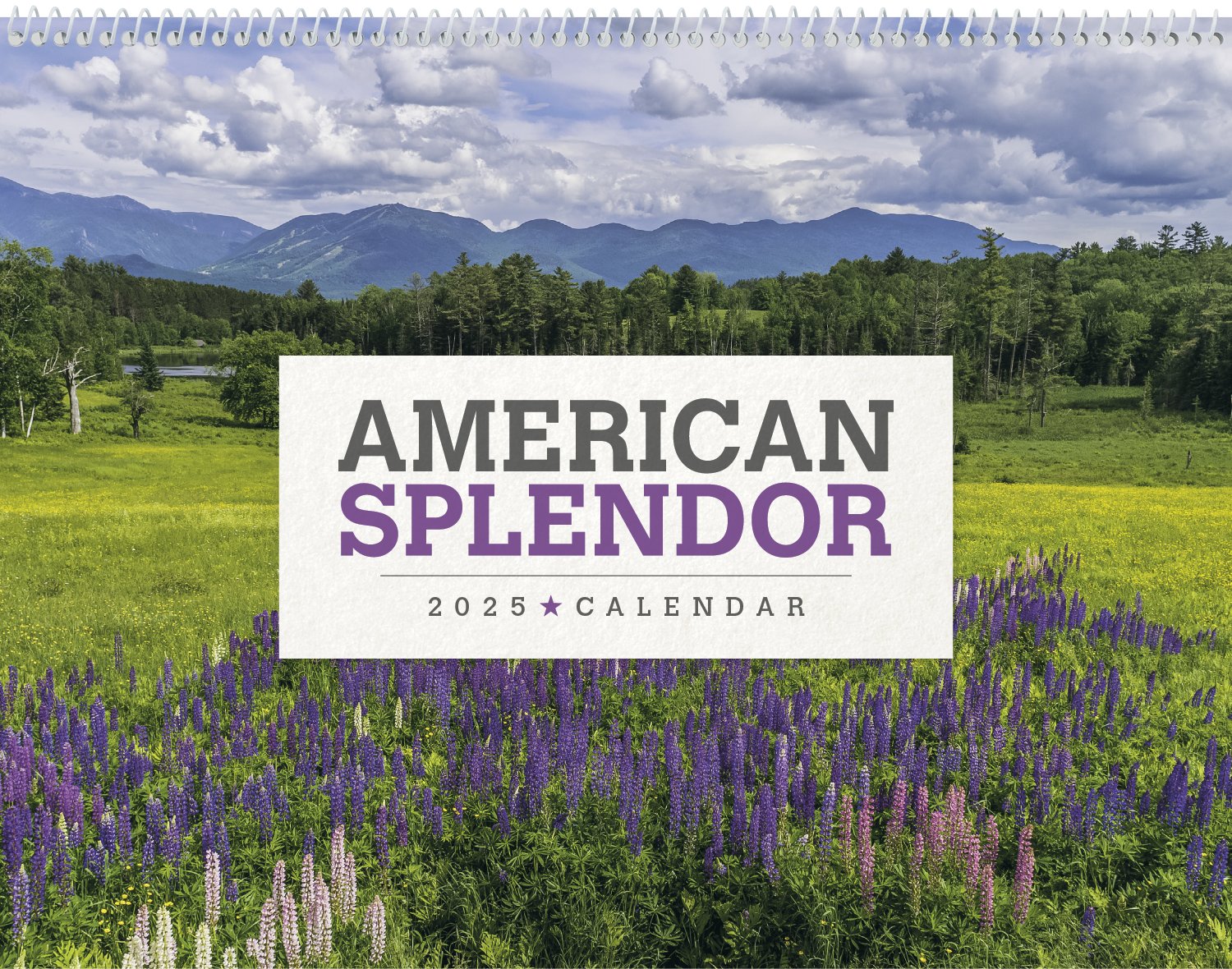 American Splendor Promotional Calendar 