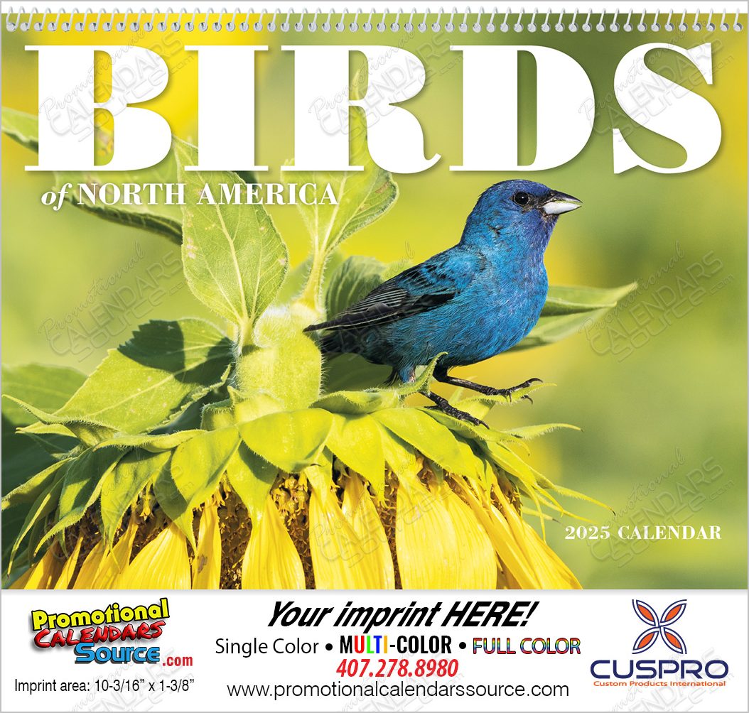 Birds of North America Calendar Spiral