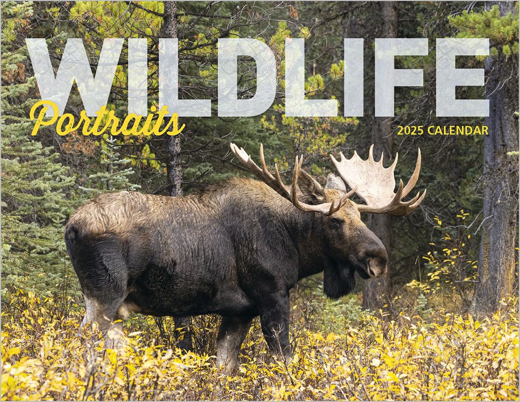 Wildlife Portraits Calendar with Window Cutout Ad