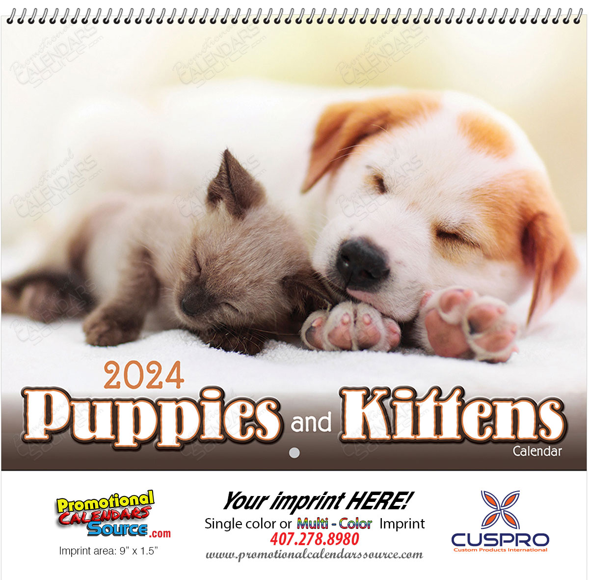 Puppies & Kittens  Wall Calendar - Spiral