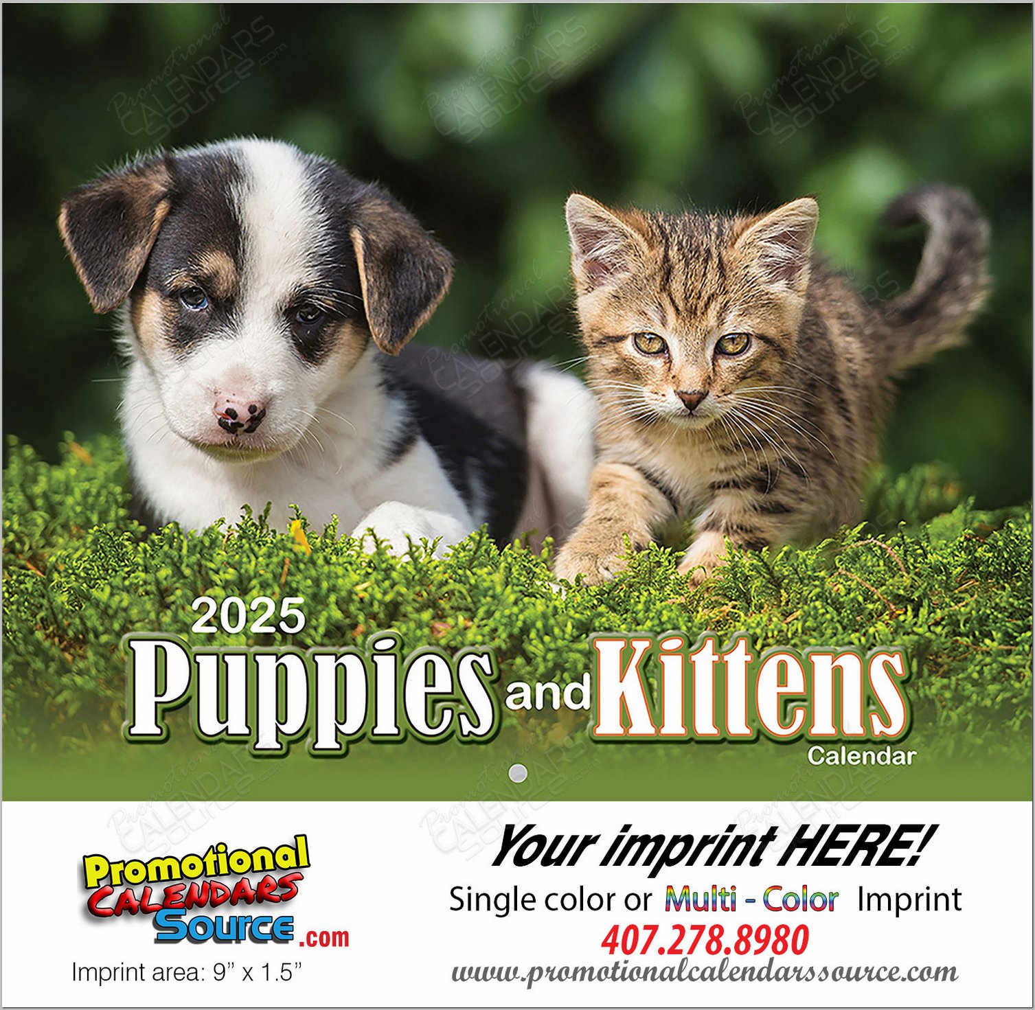 Puppies & Kittens Promotional Calendar 