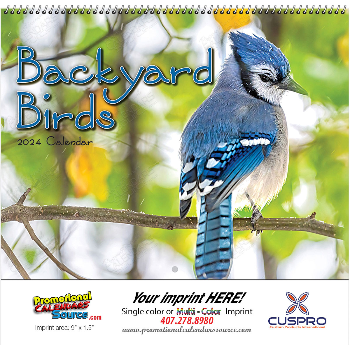 Backyard Birds Wall Calendar, Spiral