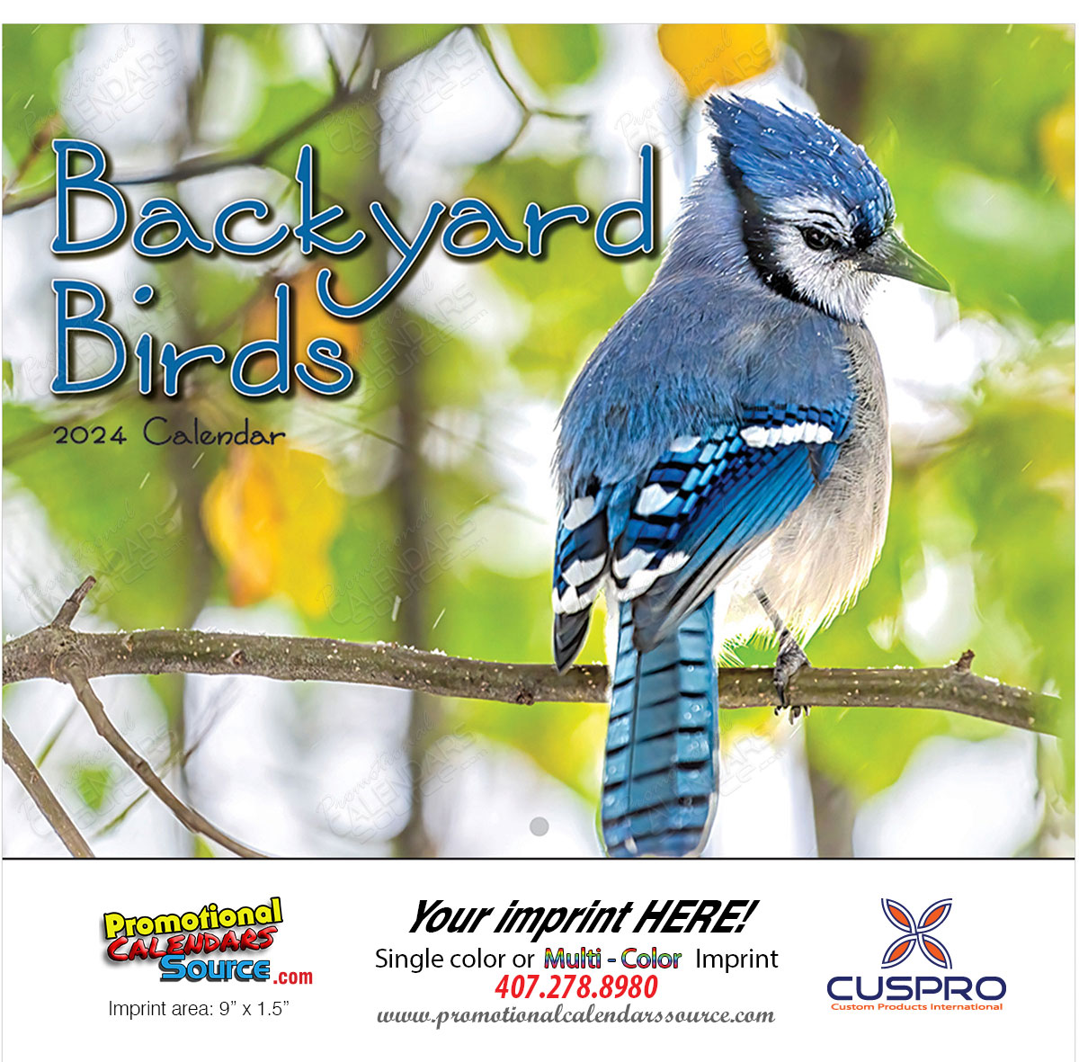 Backyard Birds Promotional Calendar  Stapled