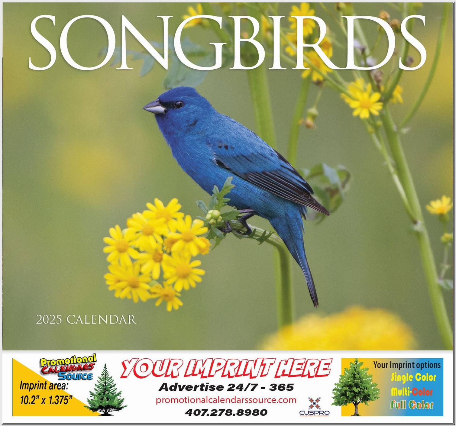 Nature’s Songbirds Calendar Stapled