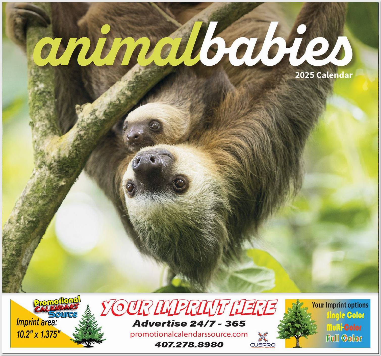 Animal Babies Wall Calendar  Stapled