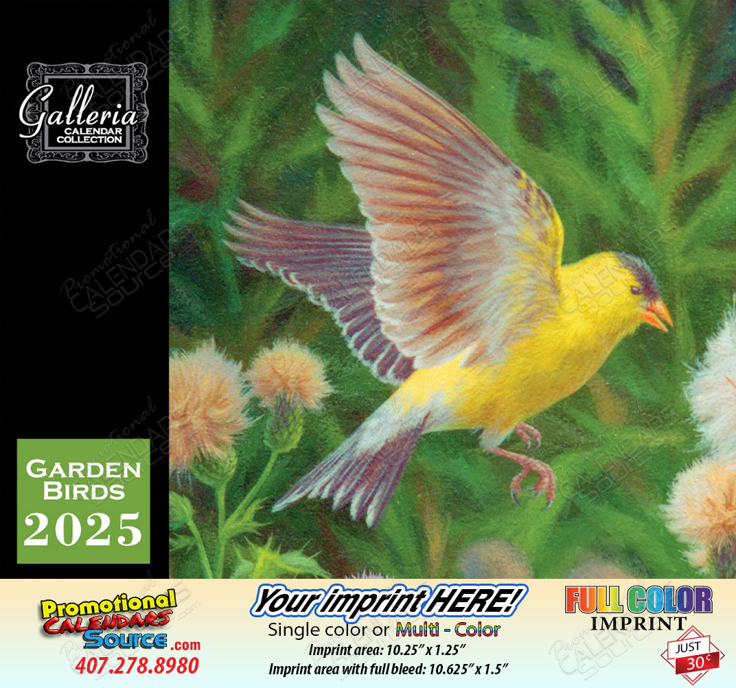 Garden Birds Value Calendar 