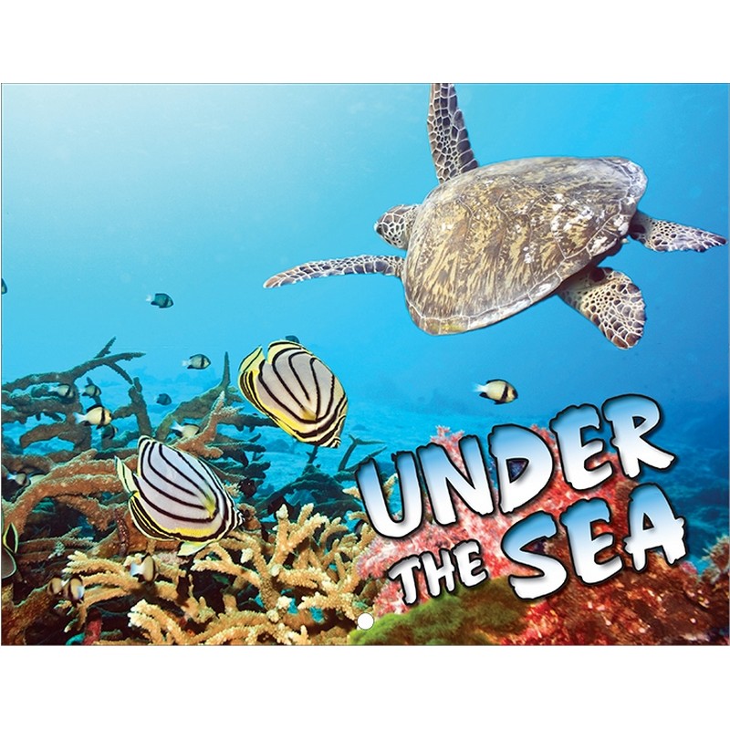 Under The Sea Promotional Mini Custom Calendar