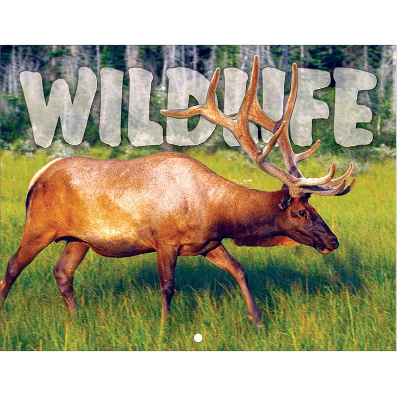 Wildlife Promotional Mini Calendar
