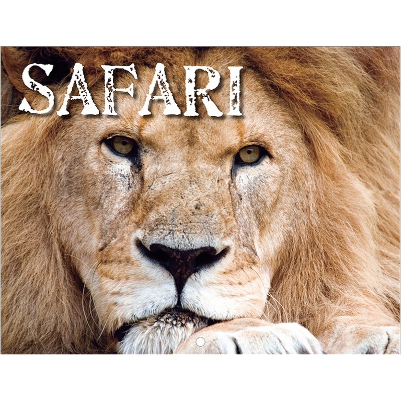 Safari Promotional Calendar