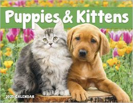 Puppies & Kittens Window Calendar With Cut-Out Print Area, Size 11x17