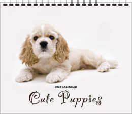 Cute Puppies Wall Calendar, 12.25x22, Spiral