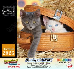 Kittens Calendar 