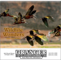 Wildlife Wonders 2020 Calendar, Spiral
