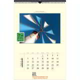 Economy Wire-O Hanger Custom Calendar 12x18