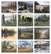 Wildlife Art Promotional Calendar 2024