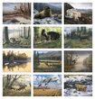 Wildlife Art Promotional Calendar 2024