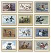 Duck Stamp 2024