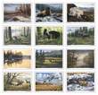 Wildlife Art Promotional Calendar 2024