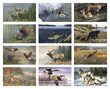 Wildlife Art by the Hautman Brothers Promotional Calendar 2024