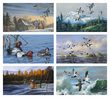 North American Waterfowl Promotional Calendar 2024
