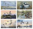 North American Waterfowl Executive Calendar # 3203 2024 monthly images