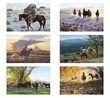 American West by Tim Cox Large Wall Calendar No. 3204 2024 bi-monthly images monthly images